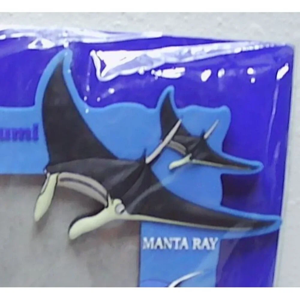 Vintage Okinawa Churaumi Aquarium souvenir photo frame from Japan Manta ray Fish